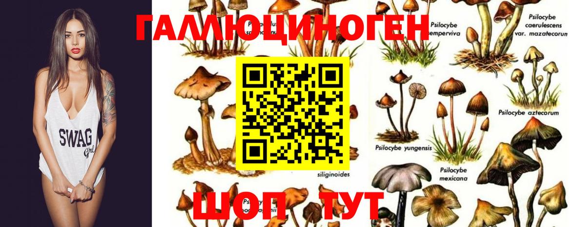 Псилоцибиновые грибы мицелий Лабытнанги