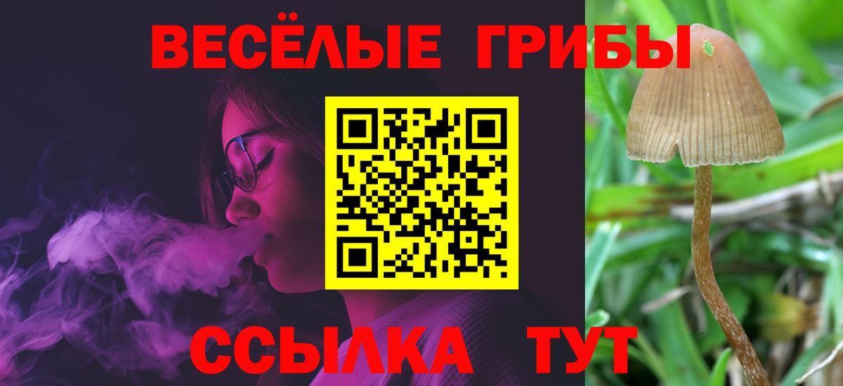 Лабытнанги  Псилоцибиновые грибы Magic Shrooms  Вход с VPN  Галлюциногенные грибы мухоморы 
